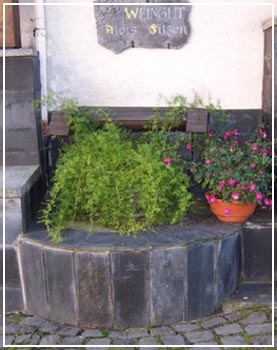 Brunnen in der Springiersbacherstraße, Pünderich