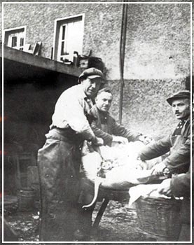1935 Schlachter Arnold Simonis bei einer Hausschlachtung vor dem Hause der Gebrüder Filzen