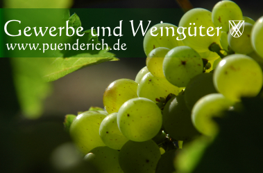 Gewerbe und Weing&uuml;ter in Pünderich an der Mosel