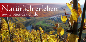 Pünderich an der Mosel