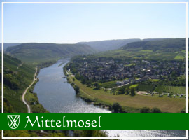 Die Mittelmosel