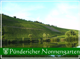 Weinbergslage - Pündericher Nonnengarten