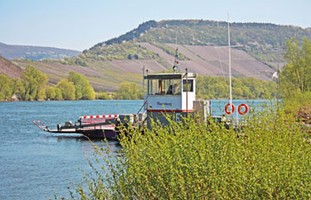 Impressionen aus Pünderich 01/15