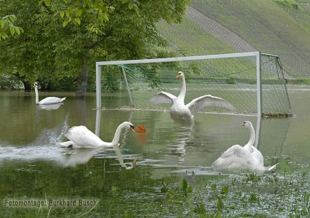 Pündericher Mannschaft