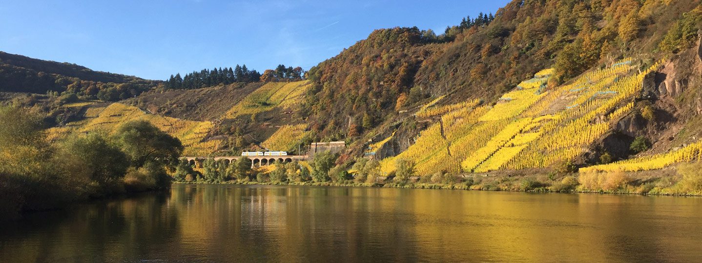 Pünderich an der Mosel - Leben an der Mittelmosel
